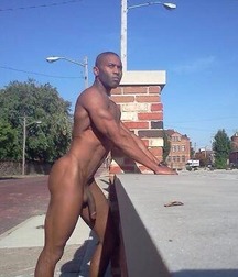 Shaved 1046 5b3f8041da7b7.jpg