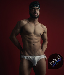 A Bit of a Bulge 5be0654d9ed6b.jpg