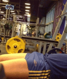 Contours 5be30747416ed.gif