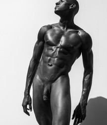 Shaved 1086 5be45a36a82b1.jpg