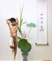 Asian Awesomeness 5c28e7884d8f2.jpg