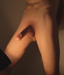 Shaved 1170 5c6d90223fcd5.jpg
