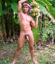 Rice is Nice 5c9ce9842d169.jpg