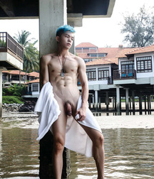 Asian Asian Asian 5dcd79512b464.jpg