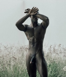 Shaved 2094 5dee721c5f478.jpg
