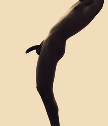 Shaved 2103 5df64e32172fe.jpg