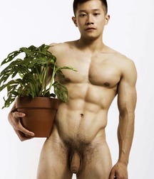 Asians, Just Asians 5e18a74552891.jpg
