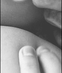 Load Me Up! 5e27151905872.gif