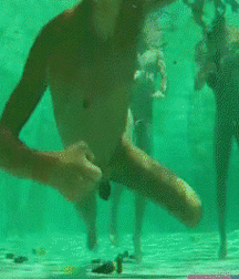Shaved 2180 5e5d34c2572f5.gif