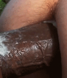 In and Out, In and Out 5e78d91737196.gif
