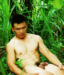 Always Asian 5e99b8b426667.jpg