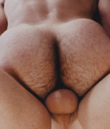 Crack Attack Action gifs gay tube bareback  5ea2f7cb21fb6.gif