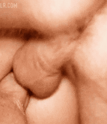 Ins and Outs of Life 5ebea5b5087b8.gif