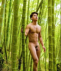 Awesome Asians Boys Porn 5ee4dcb12d866.jpg