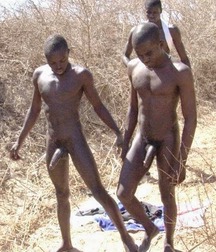 Gay Tube Beautifully Black 5ef4b37b28b7e.jpg