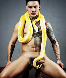 Twinks Porn Awesome Asians 5f257a0e17939.jpg
