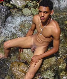 Shaved Boys Cocks GayPorn 2251 5f579069325cc.jpg