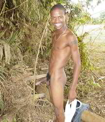 Blessedly Black Boys Porn 5f58e56d6a887.jpg