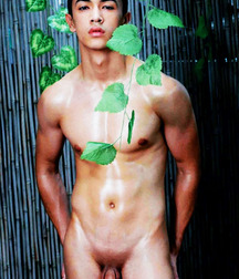 Boys Porn Asians Are Awesome 603fa3520f2c1.jpg