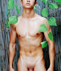 Shaved Twink Cocks Gay Boys Porn 2361 608966b26af2a.jpg