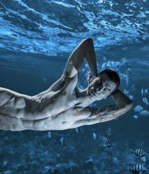 Gay Tube Awesomly Asian Boys Porn 609157dcdaa86.png