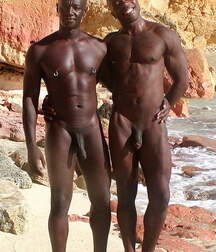 Shaved 2445 611bc5a214c07.jpg