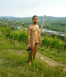 Shaved 2514 619d45b0e8393.jpg