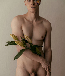 Shaved 2647 6271307707c5f.jpg