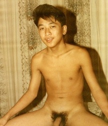 Absolutely Asian  627921ba54f12.jpg