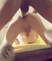 Poked In The Eye 629f5e6b918a2.gif