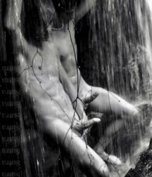 Shaved 2702 62a890e3435b0.jpg