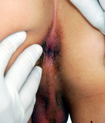 Hot Latino's 8 598358da51037.jpg