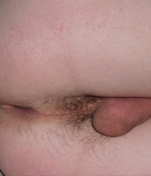 Hot And Horny Boy 59e76f7f9392b.jpg