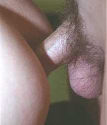 Fucking Boys - NetClassics 36 58b5cd8a19a49.jpg