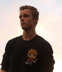 Nicholas Hamilton 5c57bf0fd53e0.jpg