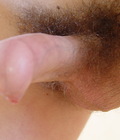 Moteijus (Full Set) 5734c05e66521.jpg