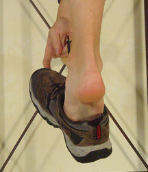 Tristan 01 576d7b4b42efe.jpg