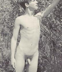 twinks from the net 2 5804c4bf79400.jpg