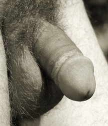 cut 7 5d849c1d0b1a7.jpg