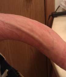 show that thing 5dc2d80575c8e.jpg