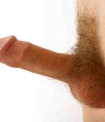 cut 11 5dc2df171b7d1.jpg