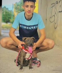 boys of July 2022 Twink Images Outdoors Tube 62e514587496a.jpg