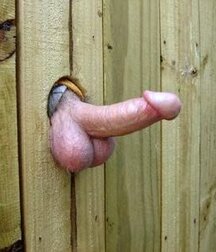 cocks waiting to be sucked boys porn 60bc8732bbf58.jpg