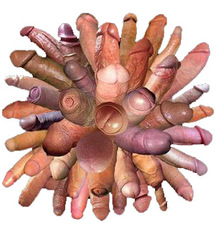 cocks I would love to suck and drink boys porn 62313cfdb3933.jpg