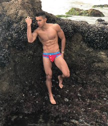 Speedo Handsome & Gay Tube Fit Guys 5f473b58641da.png