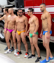 Speedo Guys Do It Right 5f5af5ceca258.png