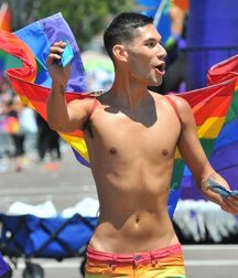 Gay Pride Parade Hot Males Boys Porn 5f8c8f9f2e2f4.jpg