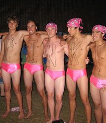 Pink Speedo Guys Gay Tube 5f998a5767fb8.jpg