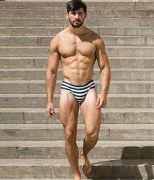 Striped Speedos Hunks & Twinks Porn 5fa5a62694416.jpg
