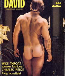 Gay Porn Magazines Boys Celebrate 5fa87a8fa91ec.jpg